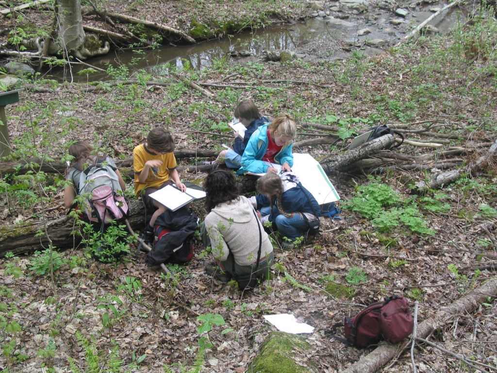 great teaching_kids on logs study2